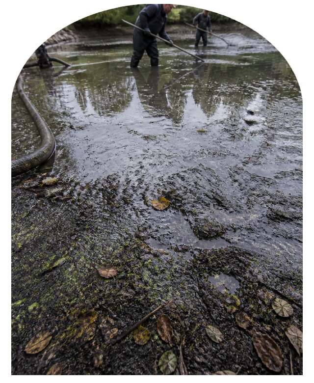 Очистка пруда в Северске от ила мусора и водорослей с вывозом
